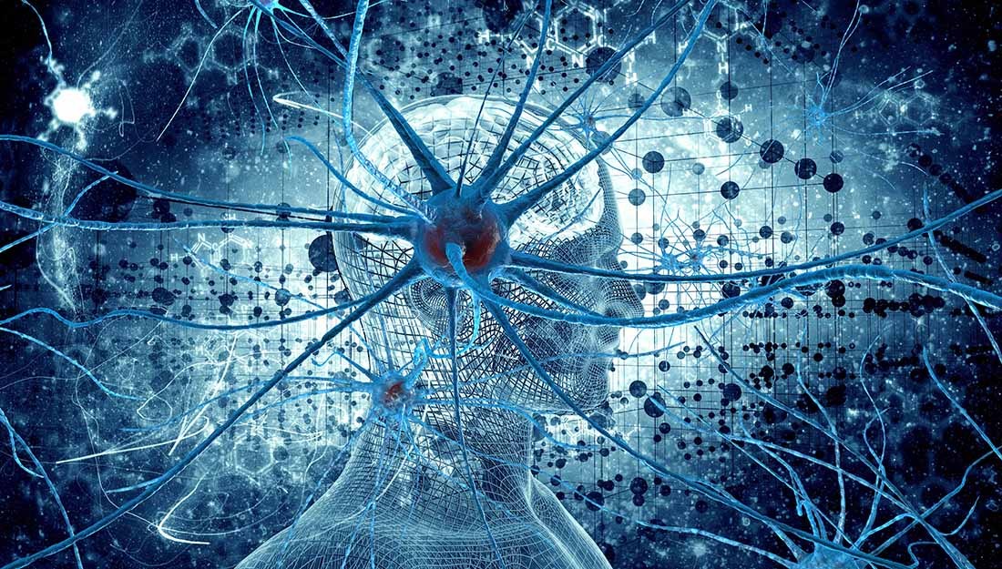 brain neural connections